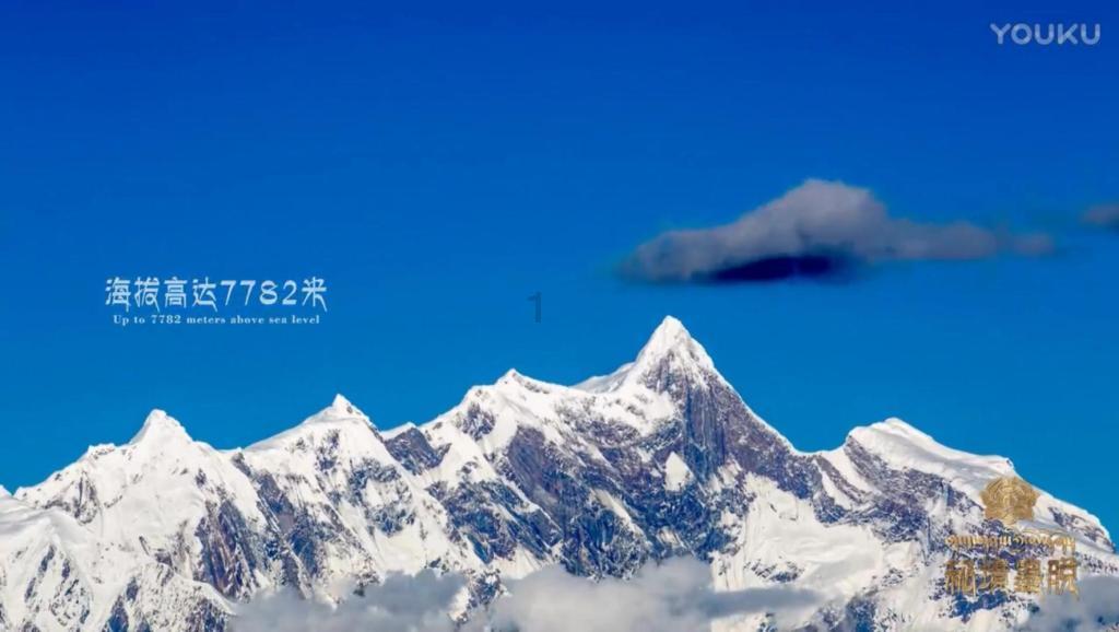 新装修的房子没住人端午节用不用挂猴子呢?-你的全能问答平台