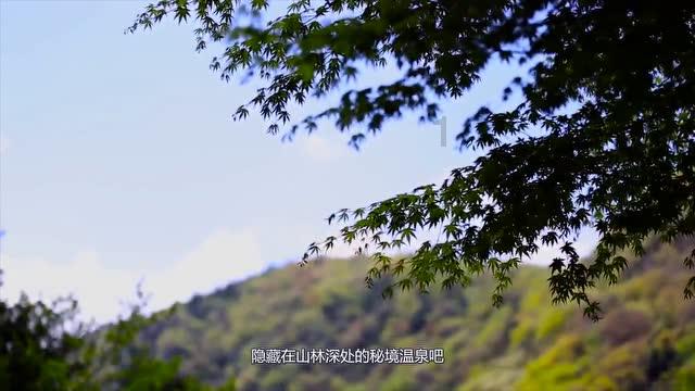 上门女婿被看不起 老丈人生日要去吗-最佳的有问必答平台